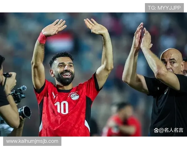 2023年世界杯已经晋级的国家名单及其晋级过程全景解析