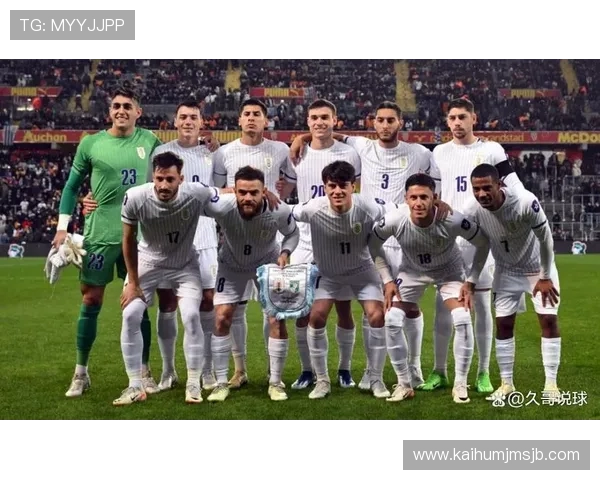 2026年世界杯申办国家竞争格局全面解析