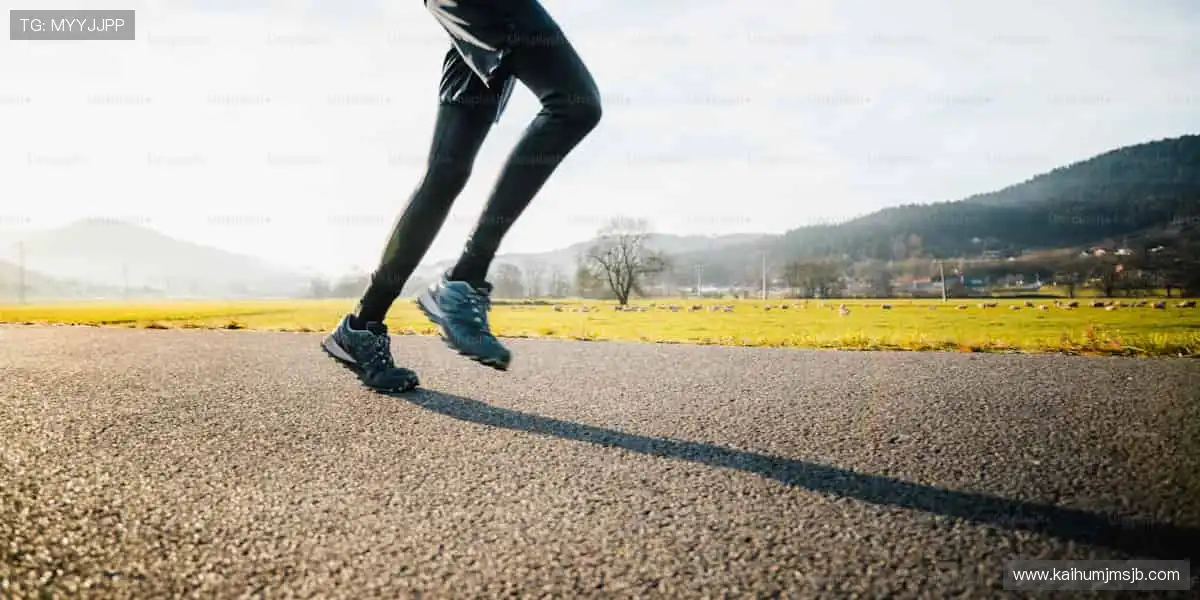 全能视讯互动乐园:高清每种真人玩法,相伴巅峰时刻